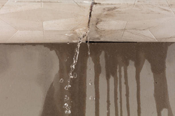 Professional Structural Drying technician working in North Hills, NY